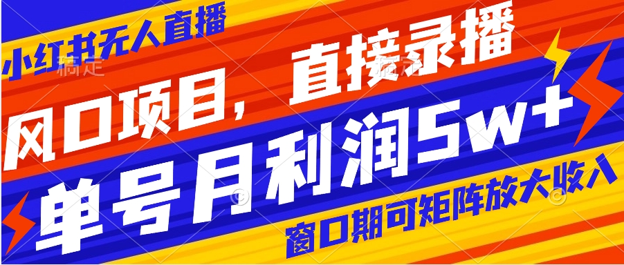 风口项目，小红书无人直播带货，直接录播，可矩阵，月入5w+-主题库网创