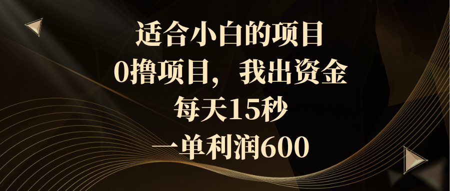 适合小白的项目，0撸项目，我出资金，每天15秒，一单利润600-主题库网创