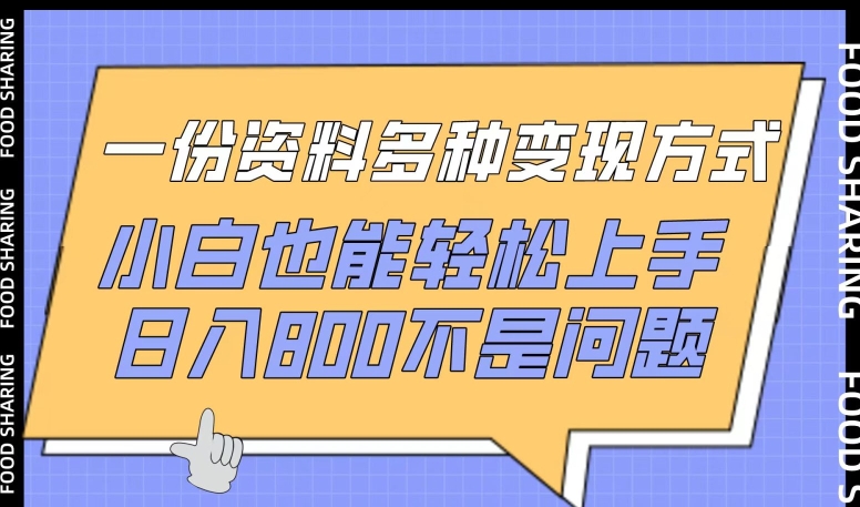 一份资料多种变现方式，小白也能轻松上手，日入800不是问题-主题库网创