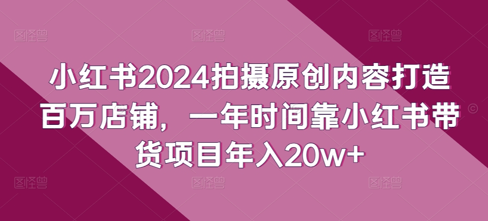 小红书2024拍摄原创内容打造百万店铺，一年时间靠小红书带货项目年入20w+-主题库网创