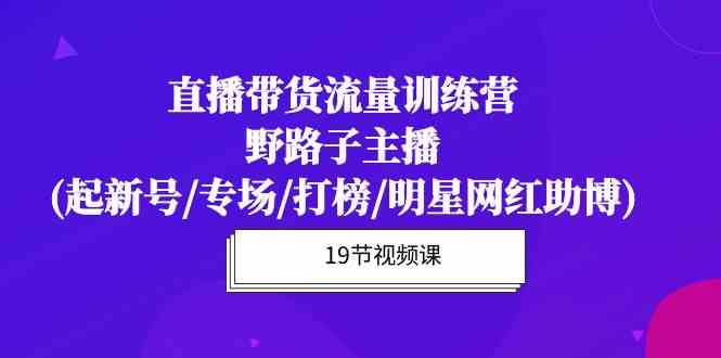 （10016期）直播带货流量特训营，野路子主播(起新号/专场/打榜/明星网红助博)19节课-主题库网创