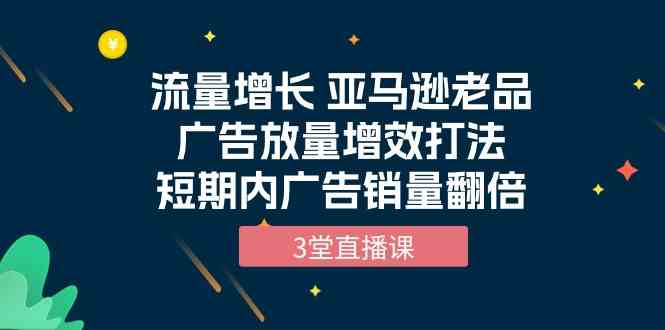 （10112期）流量增长 亚马逊老品广告放量增效打法，短期内广告销量翻倍（3堂直播课）-主题库网创