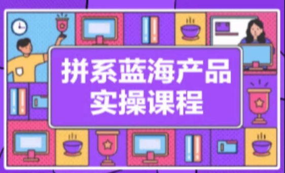 拼系冷门蓝海产品实操课程，从注册店铺到选品上架到流量维护环环相扣-主题库网创