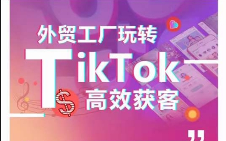 外贸工厂玩转TikTok高效获客，多种引流方式与账号定位技巧，拆解爆款短视频打造成功案例-主题库网创