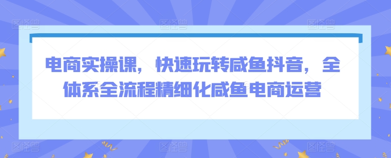 电商实操课，快速玩转咸鱼抖音，全体系全流程精细化咸鱼电商运营-主题库网创