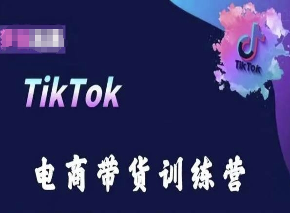 TikTok电商带货训练营，跟随时代潮流，跨境掘金-主题库网创