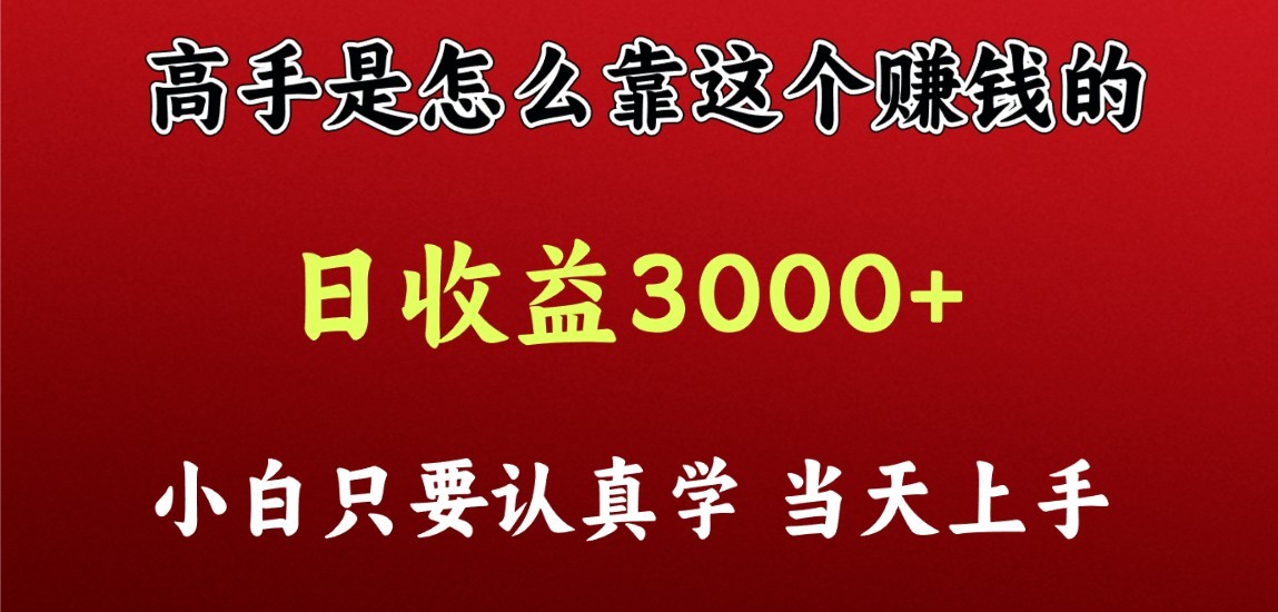 看高手是怎么赚钱的，一天收益至少3000+以上，小白当天上手-主题库网创