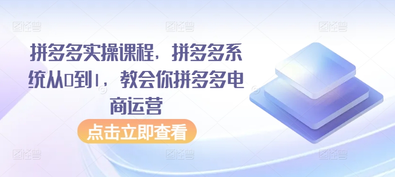 拼多多实操课程，拼多多系统从0到1，教会你拼多多电商运营-主题库网创