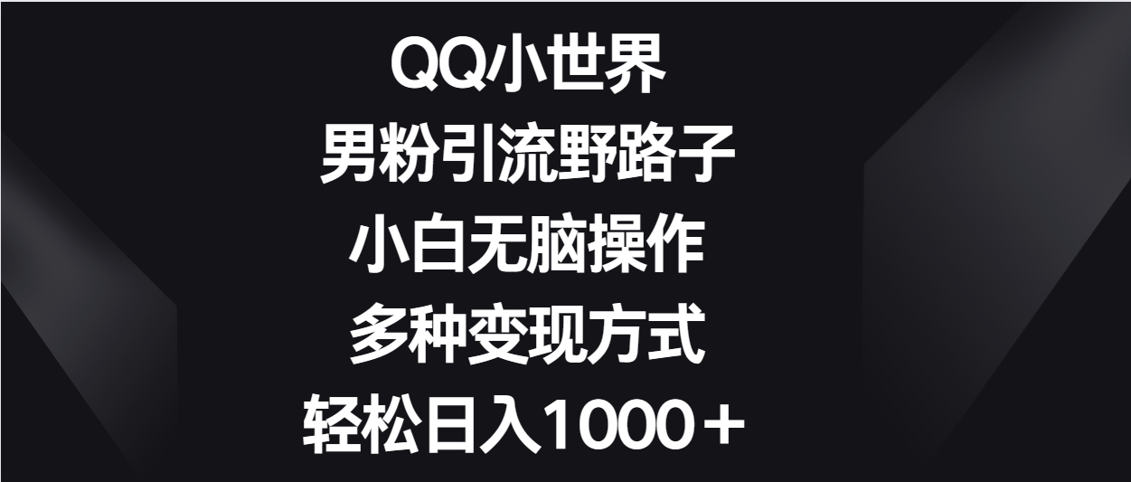 QQ小世界男粉引流野路子，小白无脑操作，多种变现方式轻松日入1000＋-主题库网创