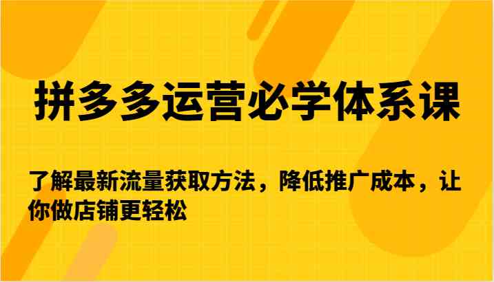 拼多多运营必学体系课-了解最新流量获取方法，降低推广成本，让你做店铺更轻松-主题库网创