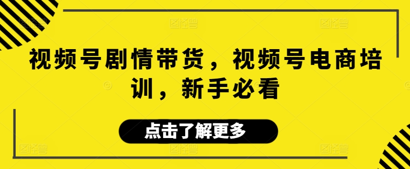 视频号剧情带货，视频号电商培训，新手必看-主题库网创