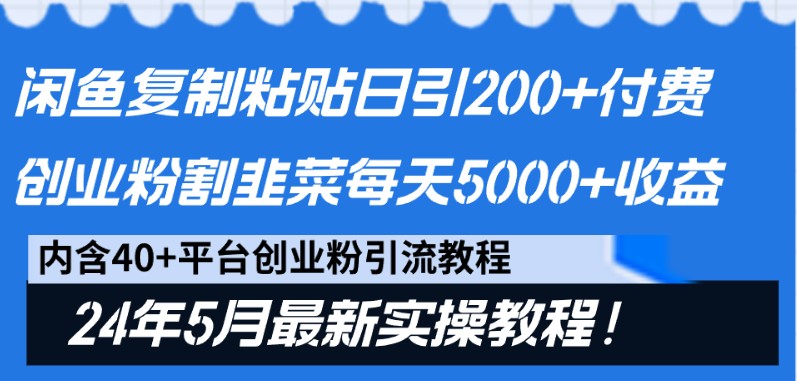 闲鱼复制粘贴日引200+付费创业粉，24年5月最新方法！割韭菜日稳定5000+收益-主题库网创