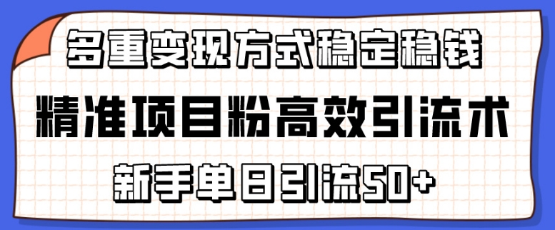 精准项目粉高效引流术，新手单日引流50+，多重变现方式稳定赚钱-主题库网创