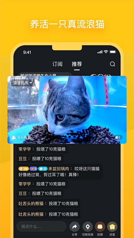 哈啰街猫app-主题库网创