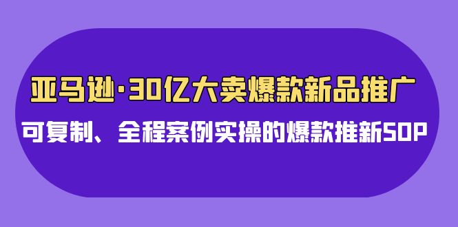 亚马逊30亿大卖爆款新品推广，可复制、全程案例实操的爆款推新SOP-主题库网创