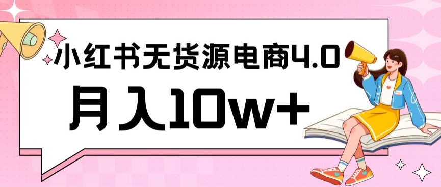 小红书新电商实战，无货源实操从0到1月入10w+联合抖音放大收益-主题库网创