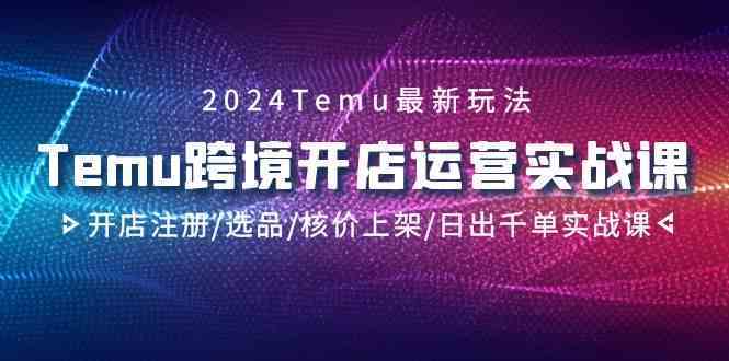 2024Temu跨境开店运营实战课，开店注册/选品/核价上架/日出千单实战课-主题库网创