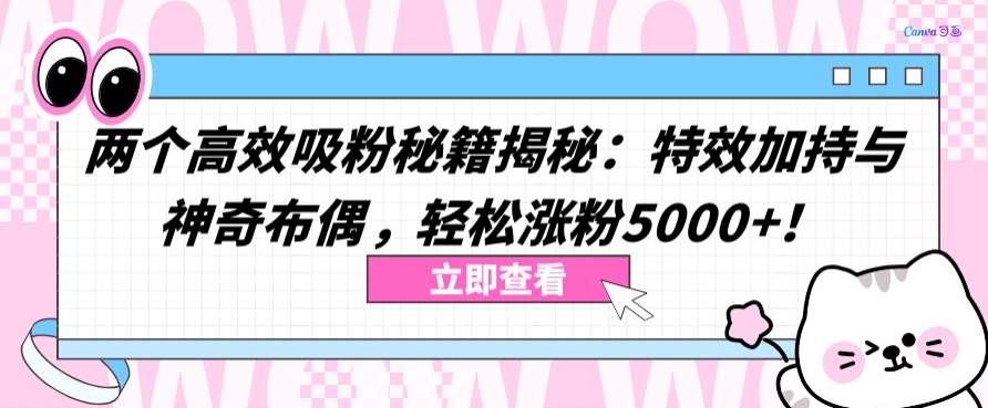 两个高效吸粉秘籍揭秘：特效加持与神奇布偶，轻松涨粉5000+-主题库网创