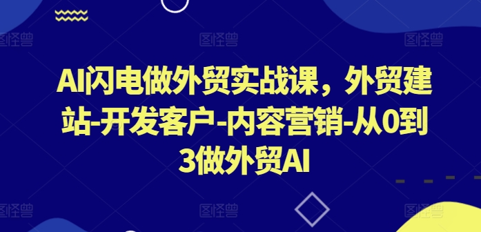 AI闪电做外贸实战课，​外贸建站-开发客户-内容营销-从0到3做外贸AI-主题库网创