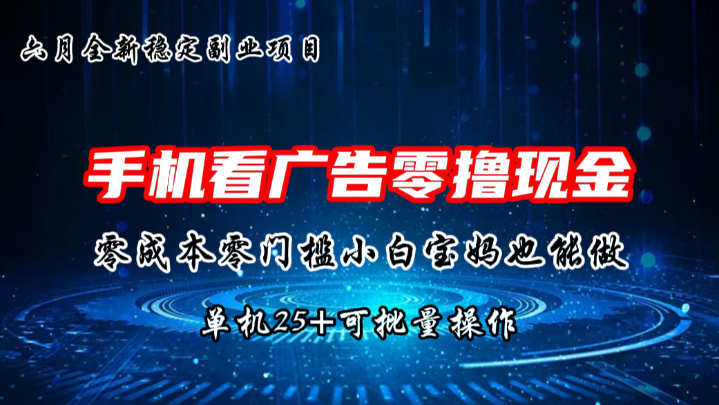 六月新项目，单机撸现金，单机20+，零成本零门槛，可批量操作-主题库网创