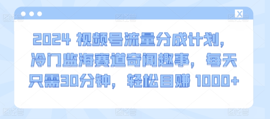 2024视频号流量分成计划，冷门监海赛道奇闻趣事，每天只需30分钟，轻松目赚 1000+-主题库网创