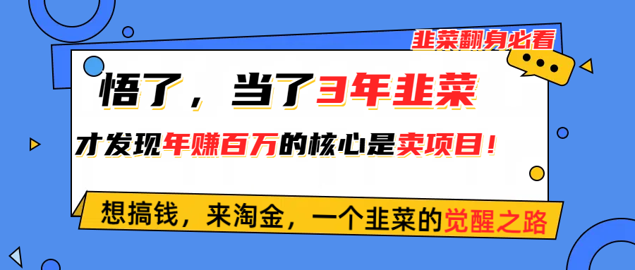 （10759期）悟了，当了3年韭菜，才发现网赚圈年赚100万的核心是卖项目，含泪分享！-主题库网创