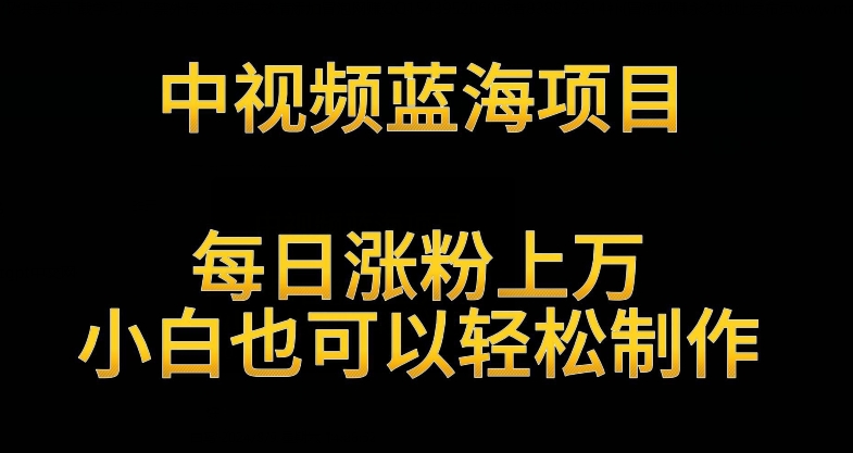 中视频蓝海项目，解读英雄人物生平，每日涨粉上万，小白也可以轻松制作，月入过万不是梦-主题库网创