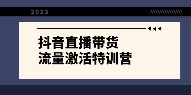 抖音直播带货-流量激活特训营，入行新手小白主播必学（21节课+资料）-主题库网创