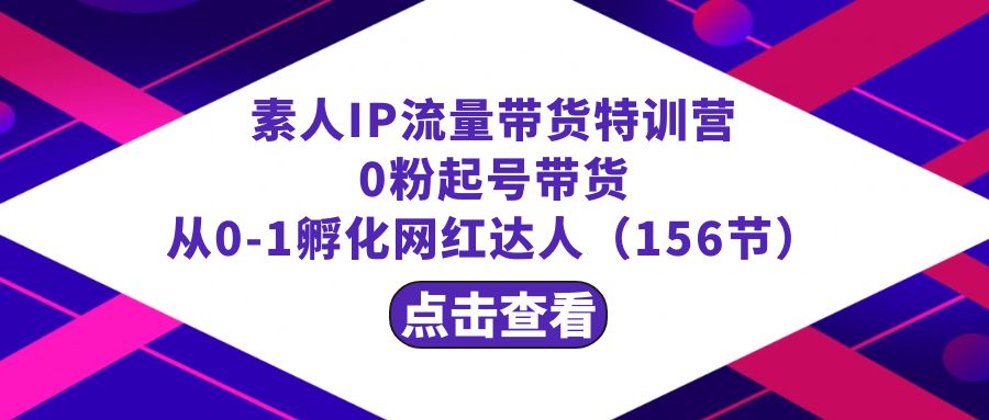 繁星·计划素人IP流量带货特训营：0粉起号带货 从0-1孵化网红达人（156节）-主题库网创