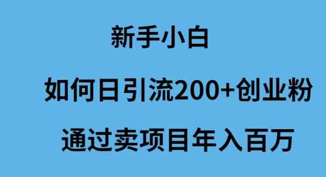 （9668期）新手小白如何日引流200+创业粉通过卖项目年入百万-主题库网创