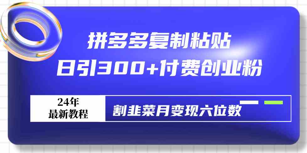 （9129期）拼多多复制粘贴日引300+付费创业粉，割韭菜月变现六位数最新教程！-主题库网创