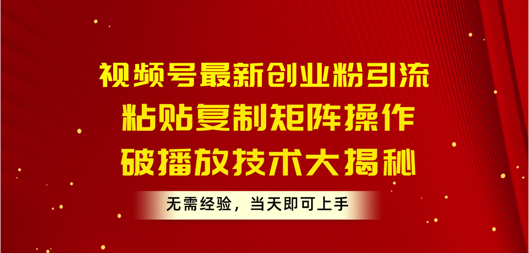 （10803期）视频号最新创业粉引流，粘贴复制矩阵操作，破播放技术大揭秘，无需经验…-主题库网创