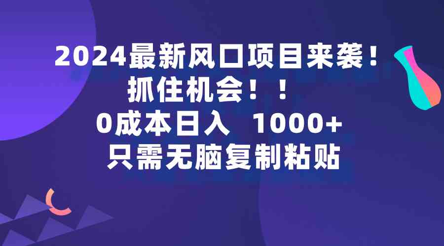 （9899期）2024最新风口项目来袭，抓住机会，0成本一部手机日入1000+，只需无脑复…-主题库网创