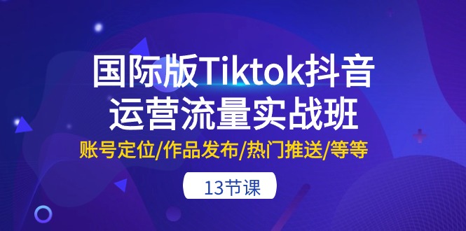 国际版Tiktok抖音运营流量实战班：账号定位/作品发布/热门推送/等等（13节）-主题库网创