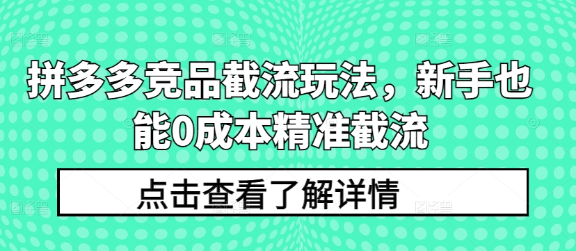 拼多多竞品截流玩法，新手也能0成本精准截流-主题库网创