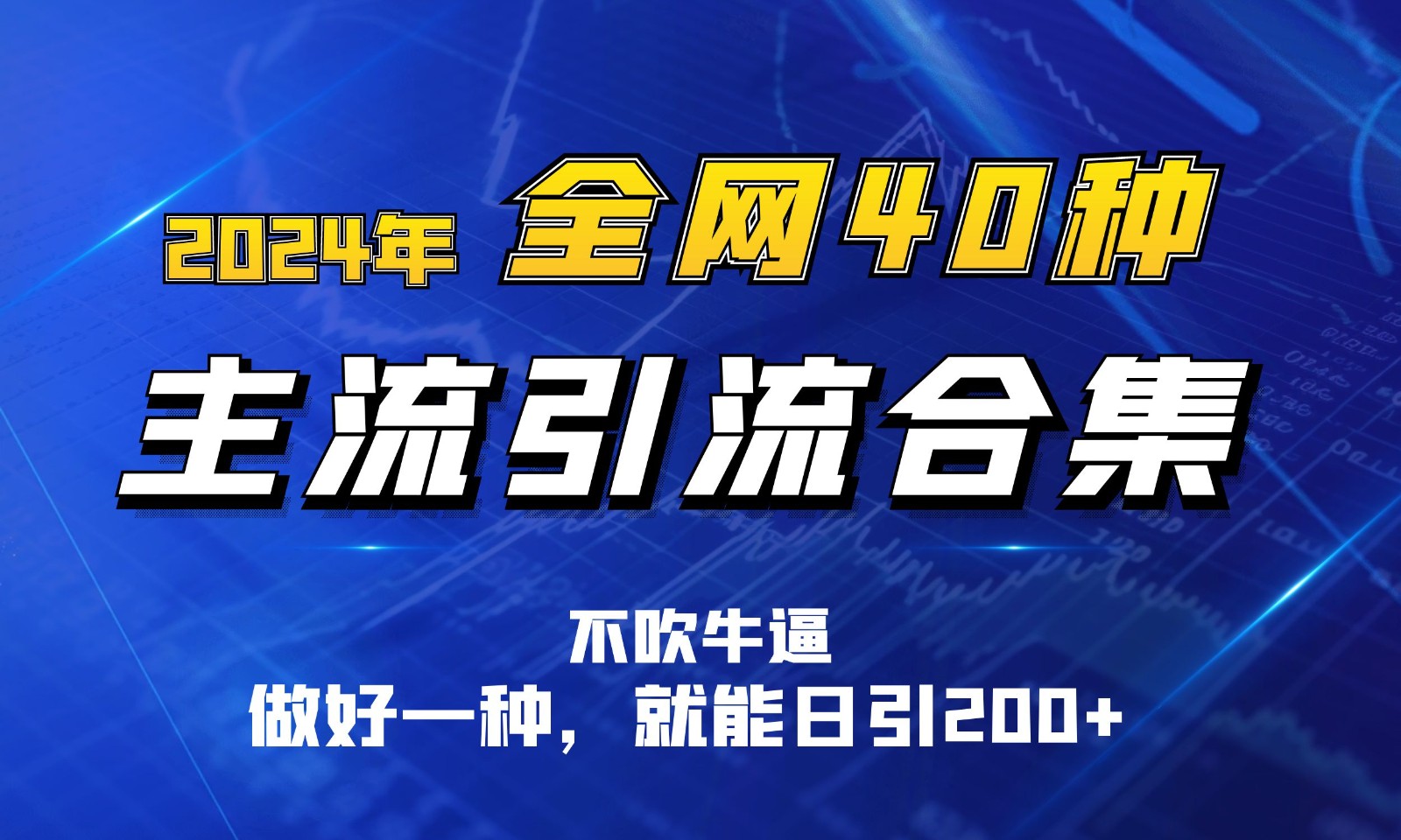 2024年全网40种暴力引流合计，做好一样就能日引100+-主题库网创