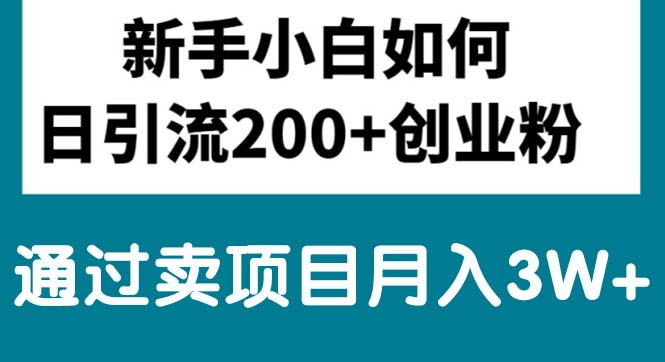 （10843期）新手小白日引流200+创业粉,通过卖项目月入3W+-主题库网创