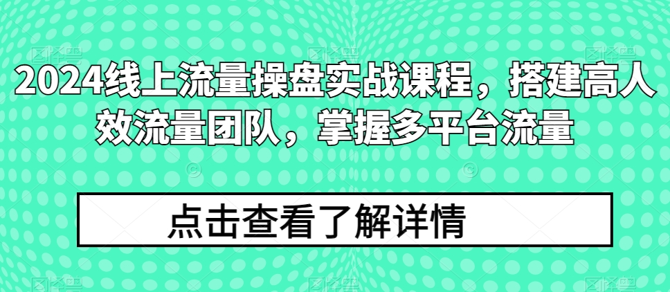 2024线上流量操盘实战课程，搭建高人效流量团队，掌握多平台流量-主题库网创