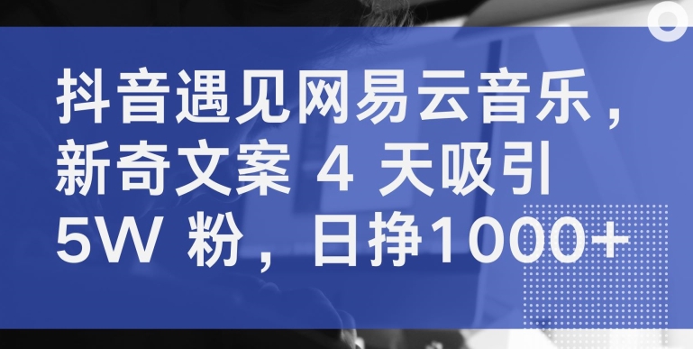 抖音遇见网易云音乐，新奇文案 4 天吸引 5W 粉，日挣1000+-主题库网创