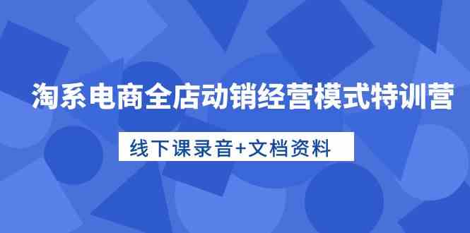 淘系电商全店动销经营模式特训营，线下课录音+文档资料-主题库网创