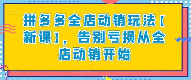 拼多多全店动销玩法【新课】，告别亏损从全店动销开始-主题库网创