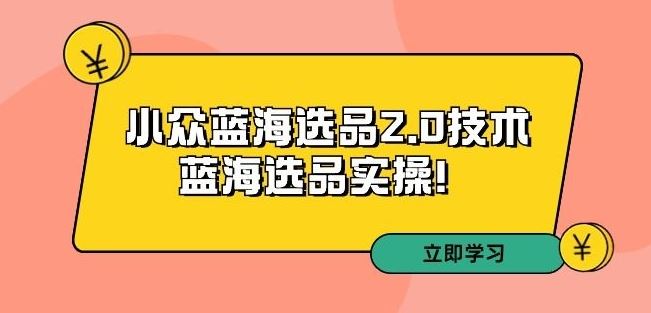 拼多多培训第33期：小众蓝海选品2.0技术-蓝海选品实操！-主题库网创