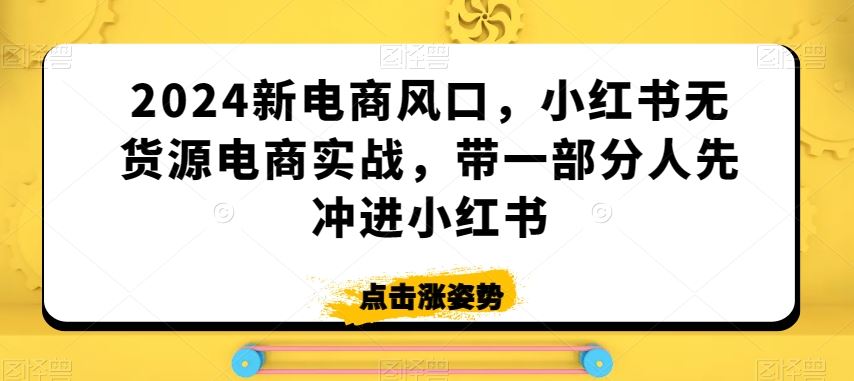 2024新电商风口，小红书无货源电商实战，带一部分人先冲进小红书-主题库网创