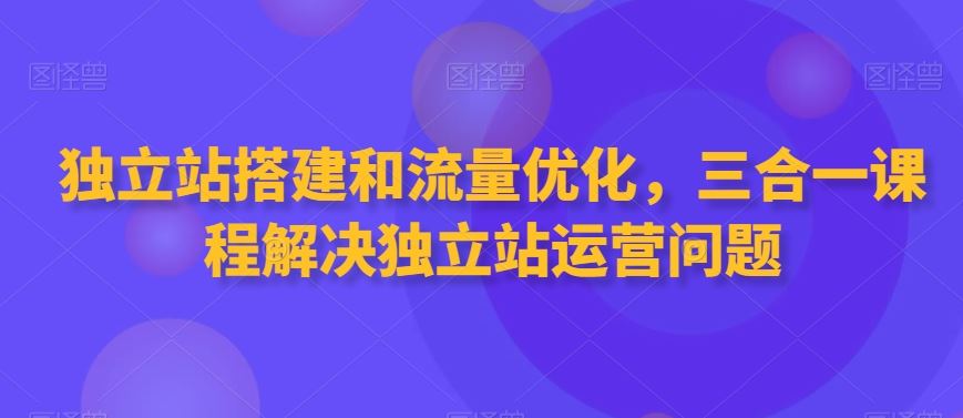 独立站搭建和流量优化，三合一课程解决独立站运营问题-主题库网创