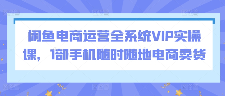 闲鱼电商运营全系统VIP实操课，1部手机随时随地电商卖货-主题库网创