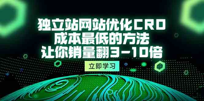 （10173期）独立站网站优化CRO，成本最低的方法，让你销量翻3-10倍（5节课）-主题库网创