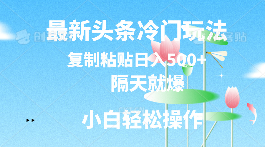 最新头条冷门玩法，隔天就爆，复制粘贴日入500+-主题库网创