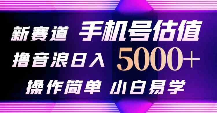 （10154期）抖音不出境直播【手机号估值】最新撸音浪，日入5000+，简单易学，适合…-主题库网创