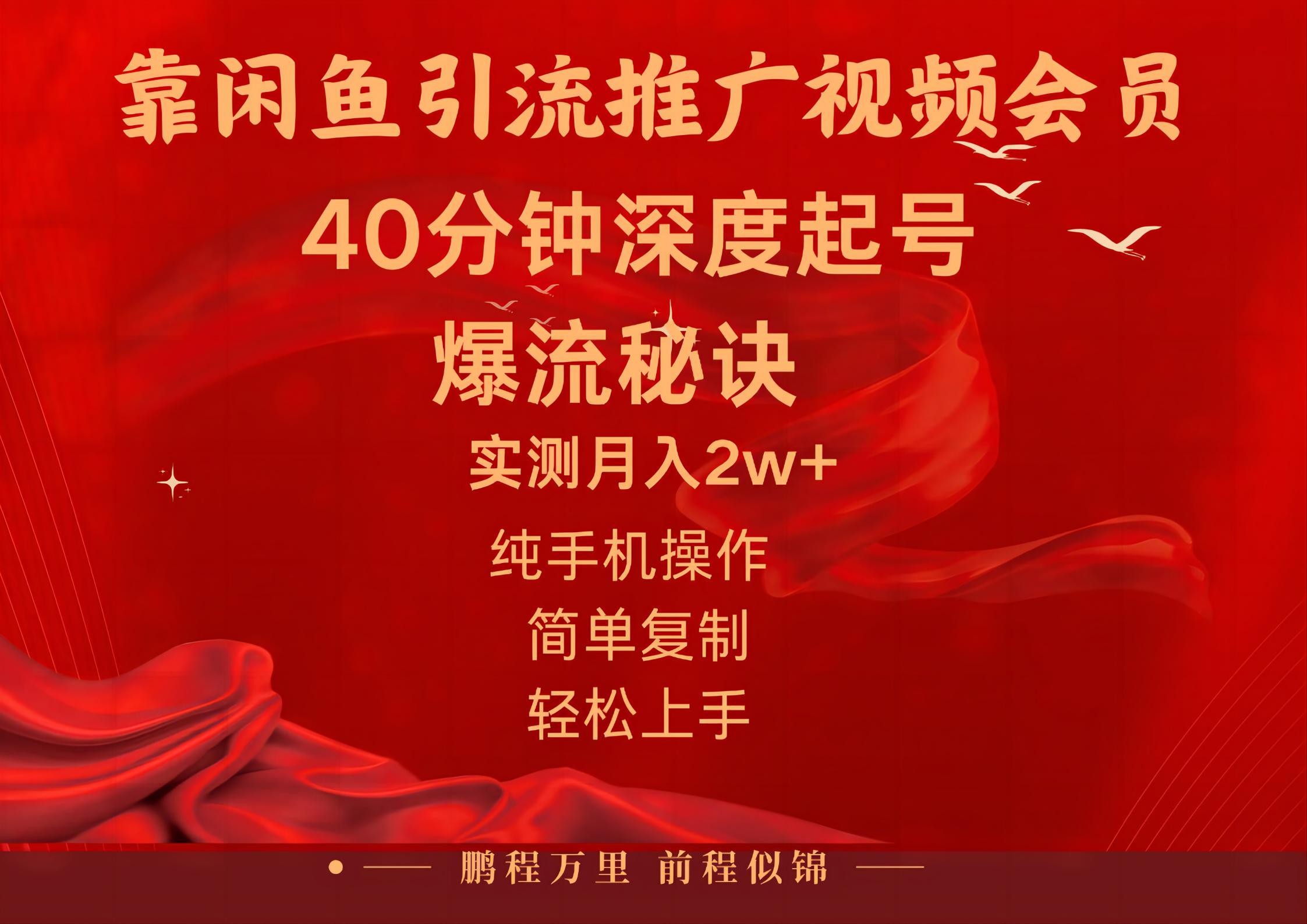 闲鱼暴力引流推广视频会员，能做到日入2W+，操作简单-主题库网创