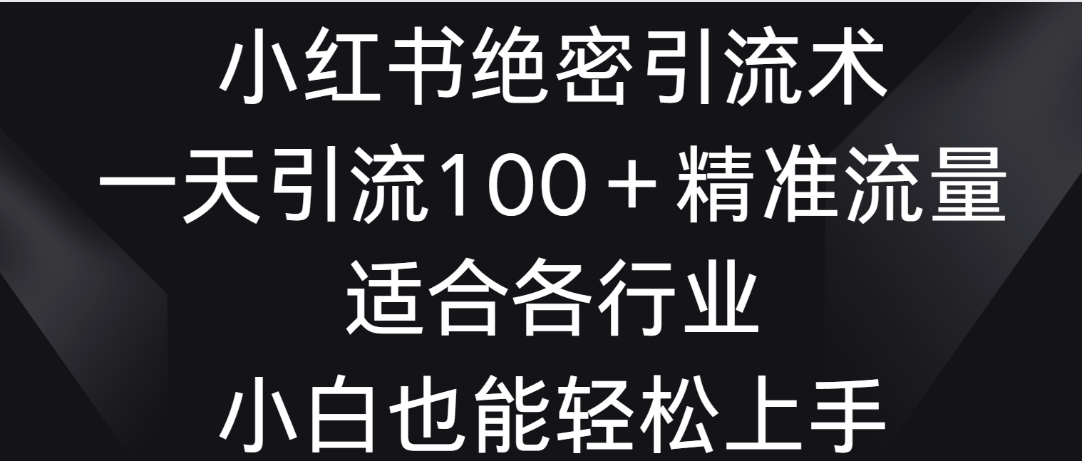 小红书绝密引流术，一天引流100＋精准流量，适合各个行业，小白也能轻松上手-主题库网创